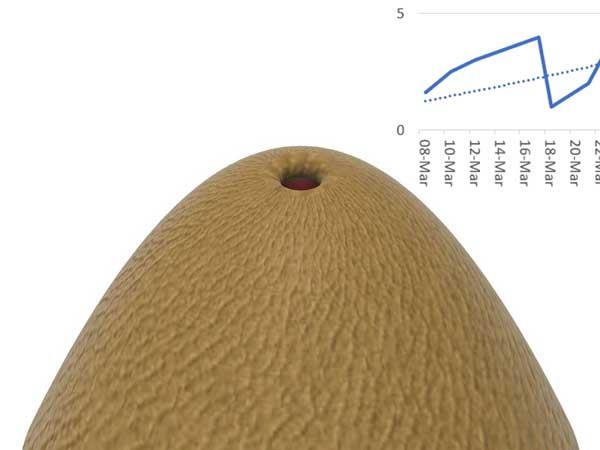 Semaine 2 : 3mm mais une petite déchirure